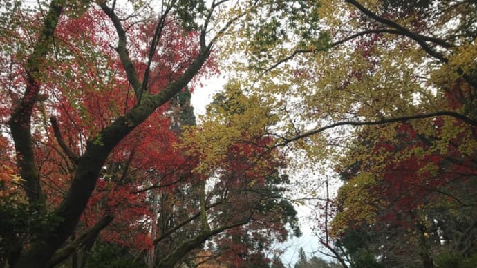 加茂山公園 - 新潟県加茂市