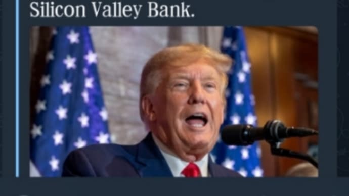 トランプ大統領、シリコンバレー銀行の破綻で経済不安の中、火にガソリンを注ぐ銀行はすでに崩壊し始めている【GCRお金の奴隷解放】の計画促進の一環!ブラックスワン・イベントが始まりました!