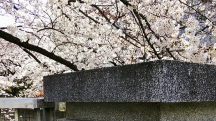 桜橋~神田川を下る旅~その15