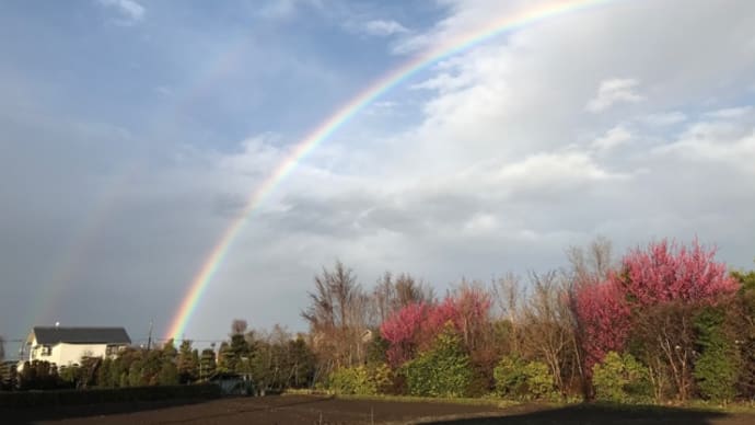 試験後の二重虹 🌈 2021年2月15日