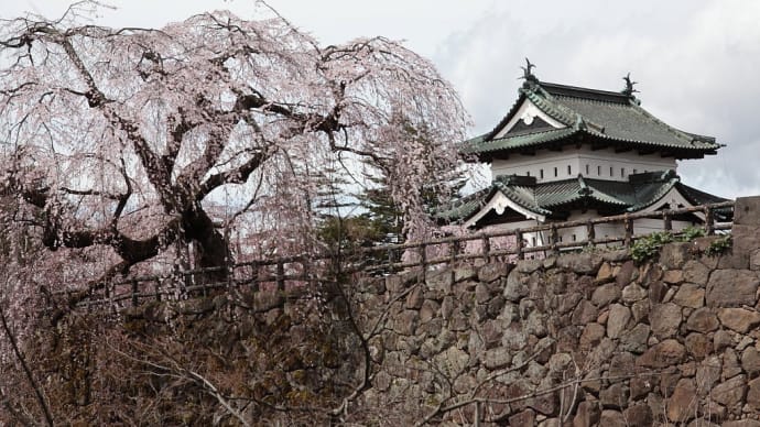 弘前公園(弘前城)の桜 その6