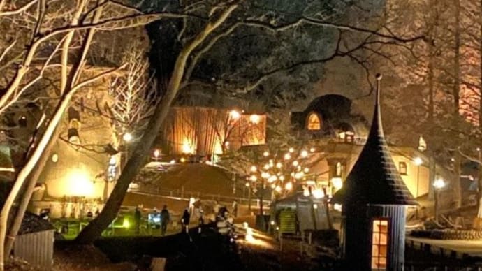 日本のフィンランド~ムーミン谷の幻想的な夜@トーベ・ヤンソンあけぼの子どもの森公園