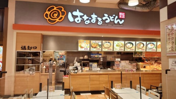 はなまるのカレーとから揚げはやはり最高で晩は練り物な日曜日
