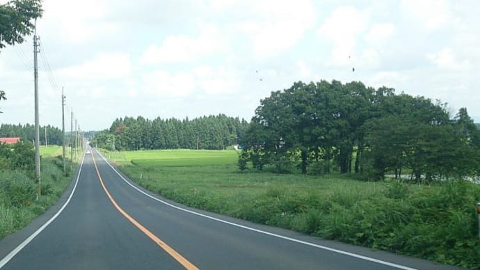 ず~っと直線道路...