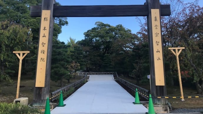 智積院の境内をゆるり散歩