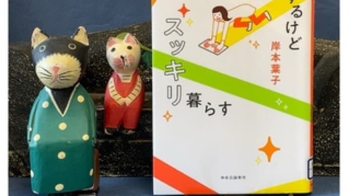 モヤモヤするけどスッキリ暮らす~岸本葉子