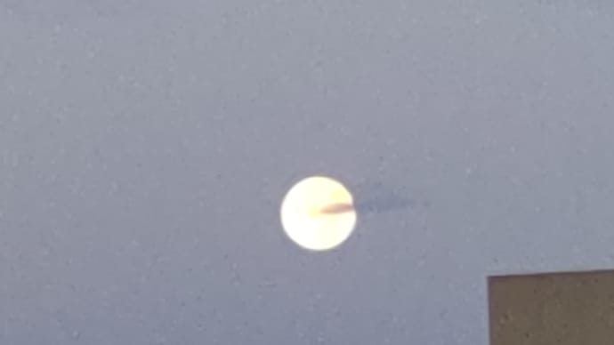 早朝のお月さま