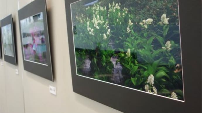 那須野が原ハーモニーホールでグループ風の写真展 2021/8