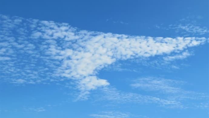 いろいろな雲がいっぱい♪