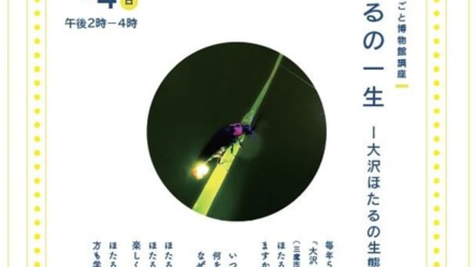 三鷹市大沢のホタル
