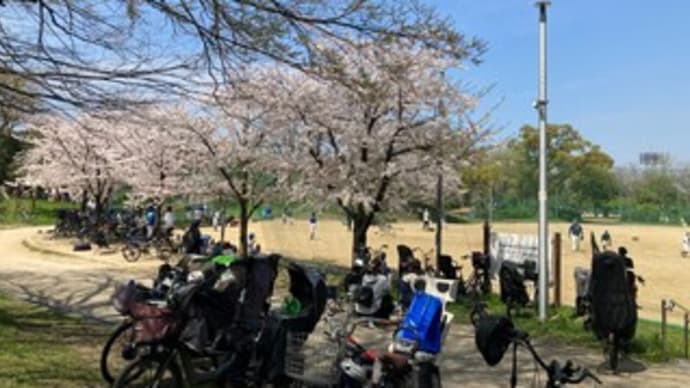 今年も桜の季節がやって来た