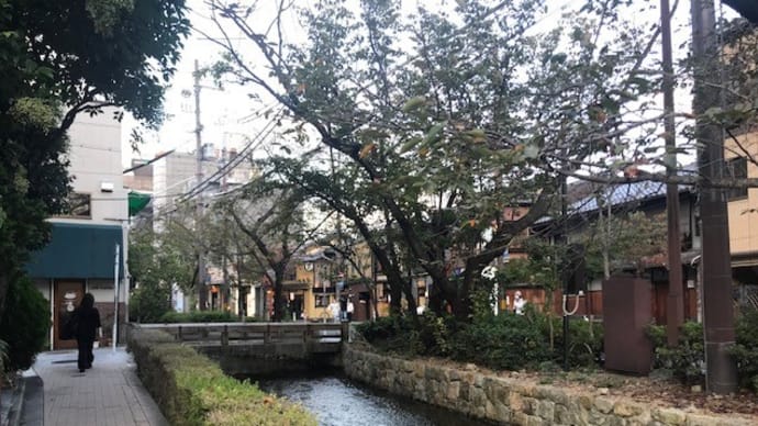 京の路地裏の力強さ 【京の細道シリーズ】
