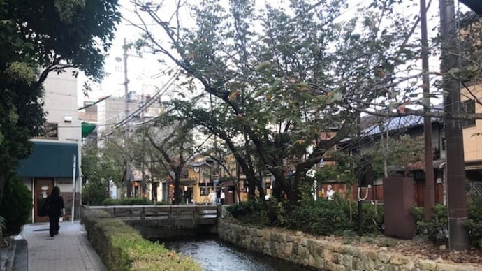 京の路地裏の力強さ  【京の細道シリーズ】