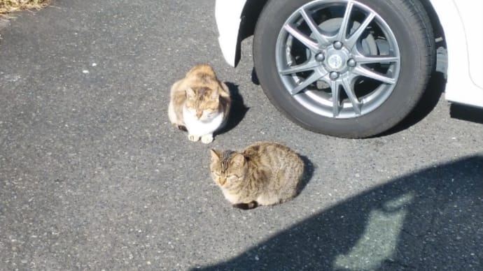 ウィンカーを出してねぇ‼