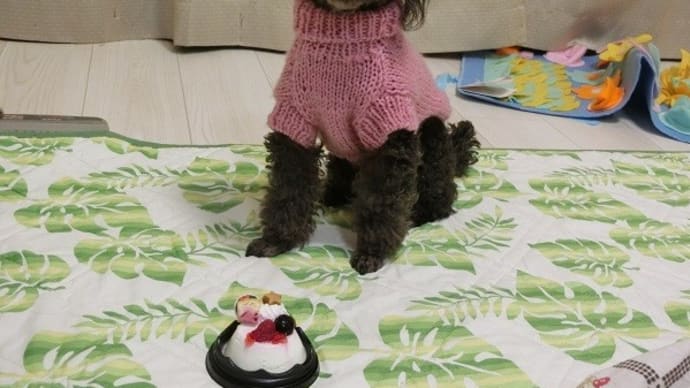 クリスマスケーキ