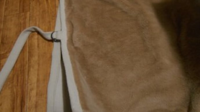 私は退屈したことがない