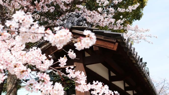 【4月15日の言葉】当たり前のようで難しいこと