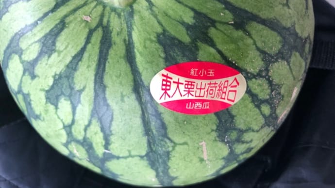 今日の暑気払いはスイカ⛱