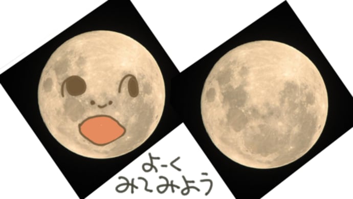 月にはウサギがいるんだよ。水もあるしね。