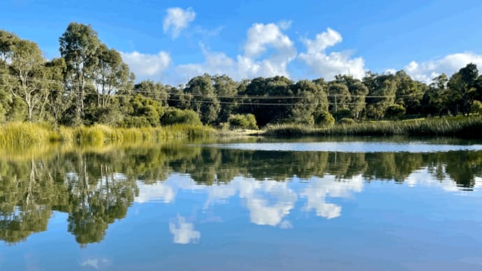 ワイナリーの静かなお池に映る空： Lenton Braeワイナリーにて　〜by空倶楽部