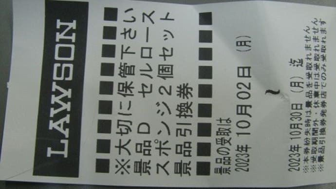 『さかな君監修スポンジ』