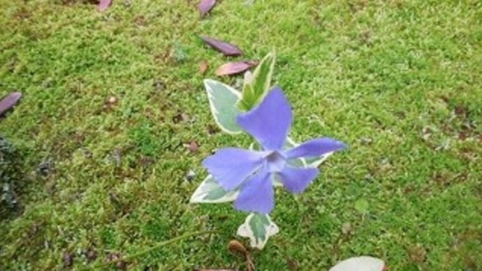 18番、藤原敏行朝臣