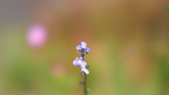 目には目を歯には歯を