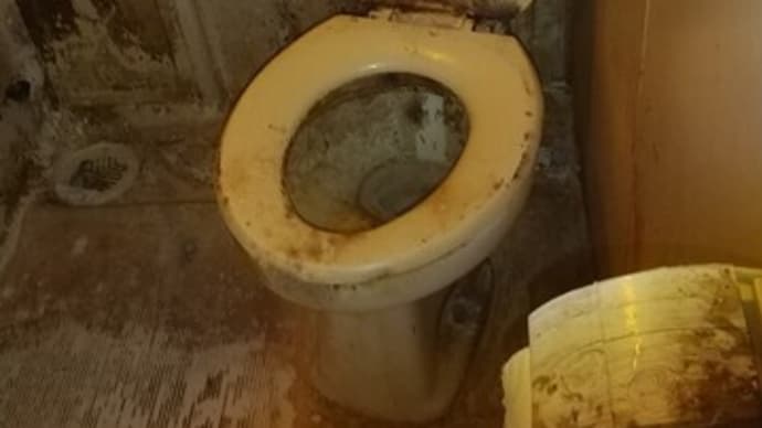 本日はおそうじ本舗の人が22330円でトイレとバスをきれいに掃除してくれました。
