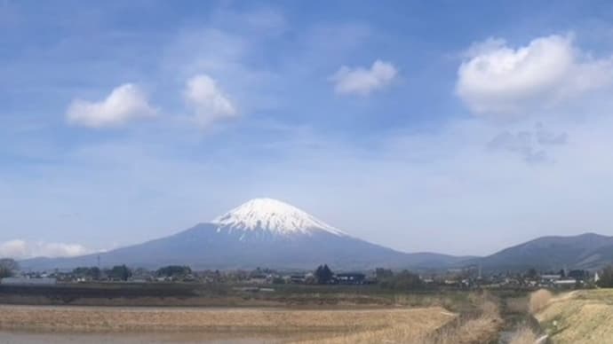冨士霊園でお花見