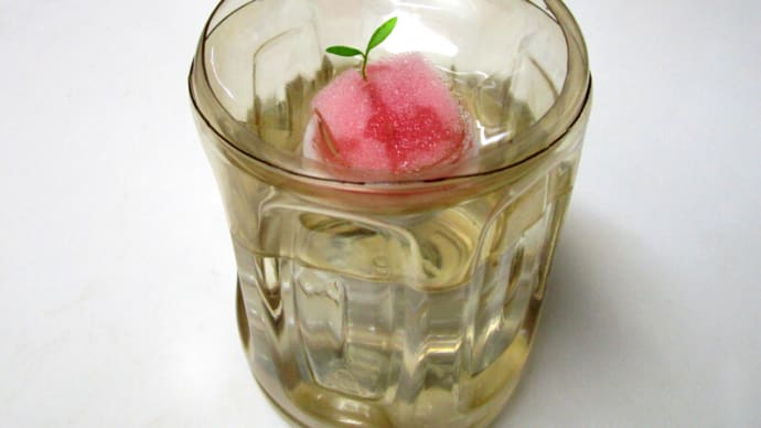 05月06日 ペットボトルに植え替え。