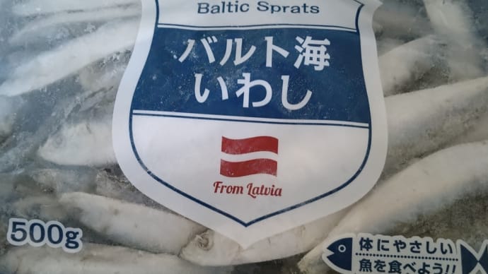 バルト海イワシはサッパだよ!