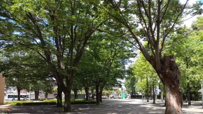東京外大の円形コロネード