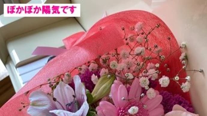 今日は春です!