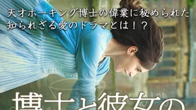 「博士と彼女のセオリー」