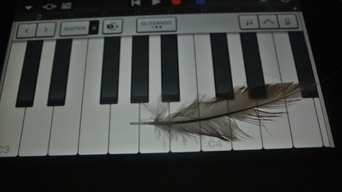小鳥の羽根でスマホのキーボードアプリを弾く