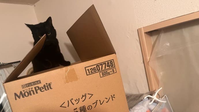 鶴賀、3歩進んで2歩下がってまた3歩進む