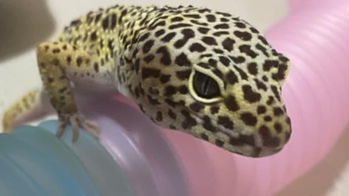 考えること。