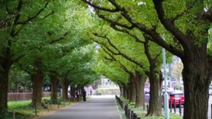 安産って、定義があるのかなぁ??