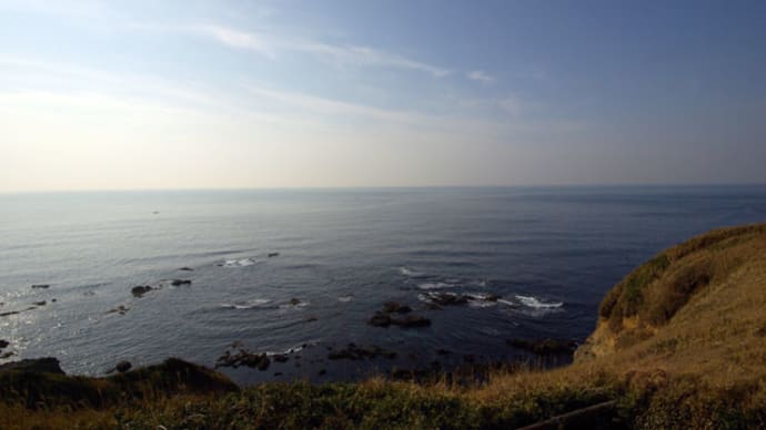 三浦城ヶ島水仙まつり