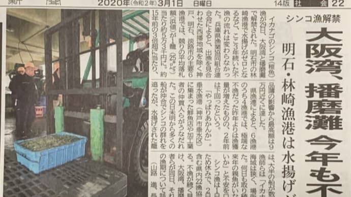 令和2年 いかなご狂奏曲 東部地区初漁は?