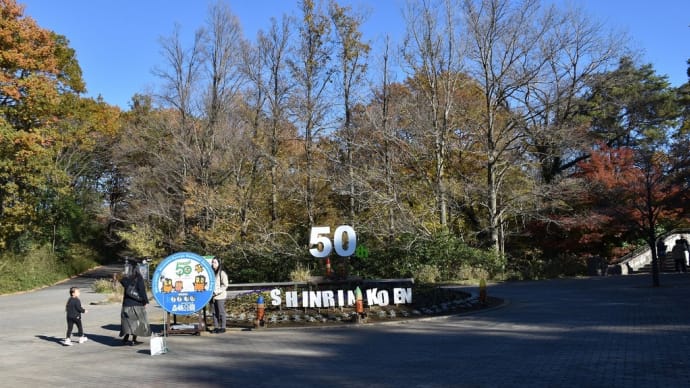 もみじ狩り 埼玉県熊谷市楊井 国営武蔵丘陵森林公園(1)森林公園開園50周年