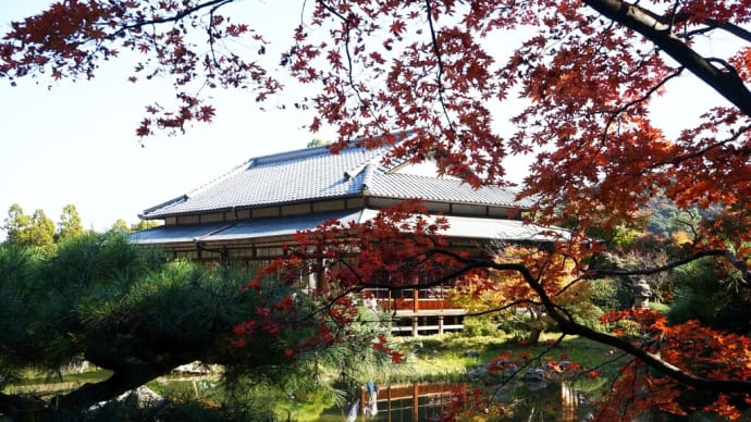 紅葉に包まれ回遊式日本庭園を散策・・・山口県下関市長府庭園