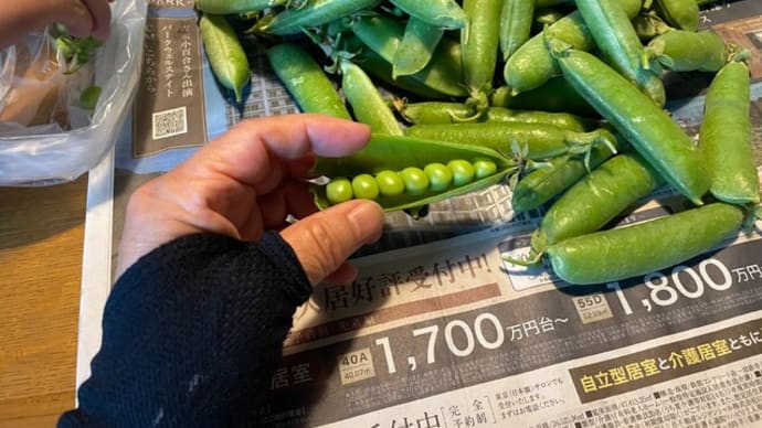 今年も茨城より豆が届いた