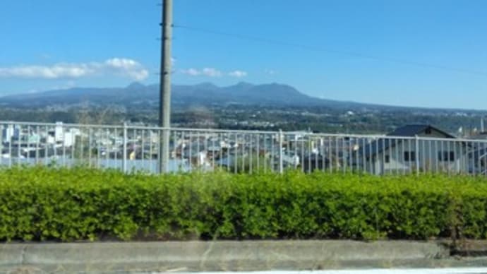 旅先のスーパーマーケット