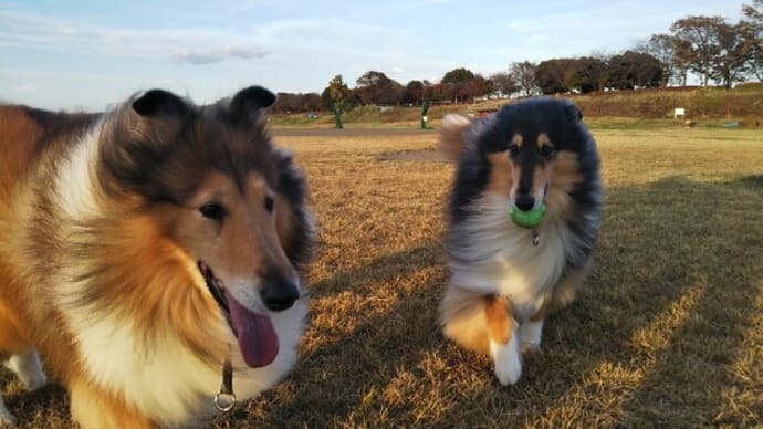 ベッドの取り合い♪