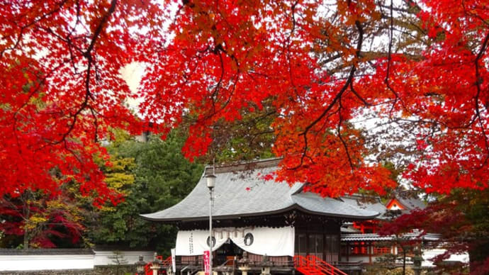 関市”あんこカフェ”と紅葉の春日神社