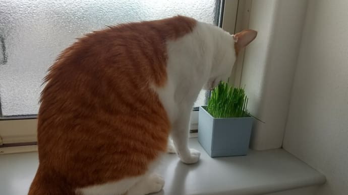 待ちに待った、昨日。