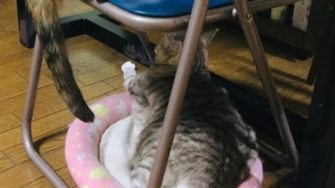 行ったり来たり