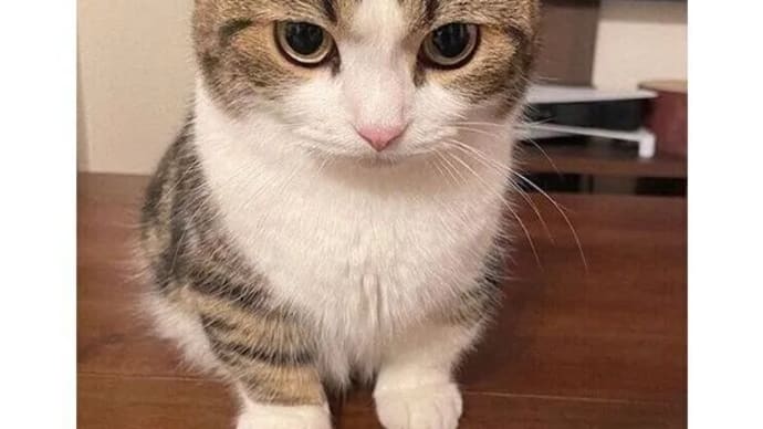 不適切な可能性があるコメント
