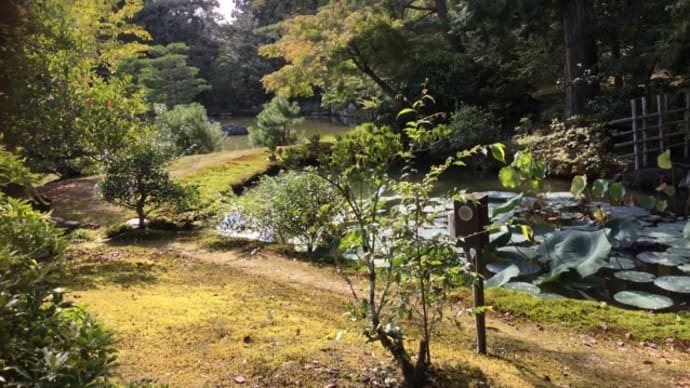 明日明後日臨時休業です